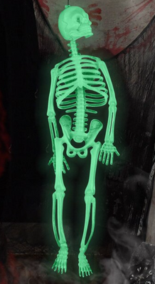 Скелет светящийся фосфорный ABC (21 см) 1822555983 фото