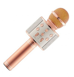 Караоке микрофон с Bluetooth колонкой WSTER WS-858 Rose Gold WS858RG фото