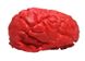 мозку криваві декор на Хеловін ABC мозг001 фото 1