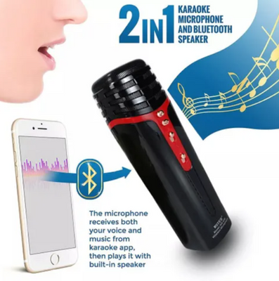 Караоке-мікрофон з Bluetooth колонкою WSTER чорний KTV555 фото