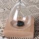 Магнітні пісочний годинник Magnet Hourglass з дерев'яною підставкою 1411413456 фото 4