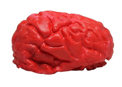 Мозги кровавые декор на Хелоуин ABC мозг001 фото