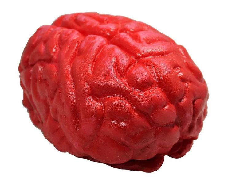 мозку криваві декор на Хеловін ABC мозг001 фото
