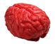 мозку криваві декор на Хеловін ABC мозг001 фото 2